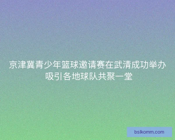 京津冀青少年篮球邀请赛在武清成功举办 吸引各地球队共聚一堂